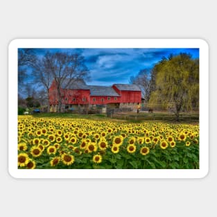 Sunflower Field Country Landscape Sticker